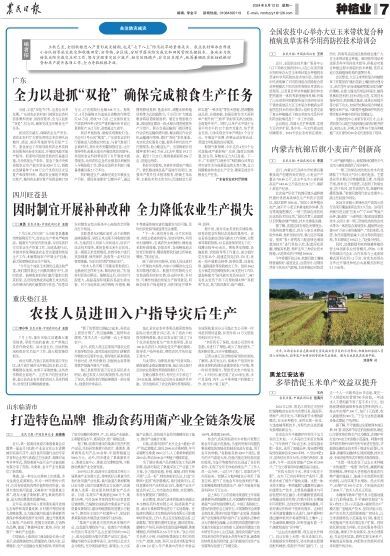 报名：农民日报 版次：第007版：版名：种植业 日期：20240812
