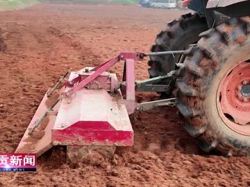 自貢新聞｜2025年全省秋冬種馬鈴薯生產(chǎn)現(xiàn)場(chǎng)會(huì)在我市舉行