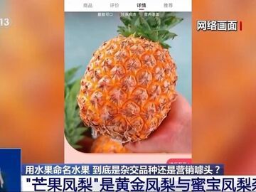 芒果凤梨没芒果、草莓芭乐没草莓！揭露网红水果命名背后的消费陷阱