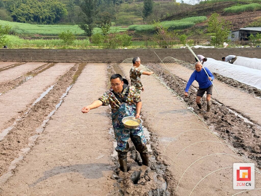 沿滩区联络镇汉乡源种养殖专业合作社理事长刘杰与村民春耕劳作 记者罗祥瑞 摄.jpg