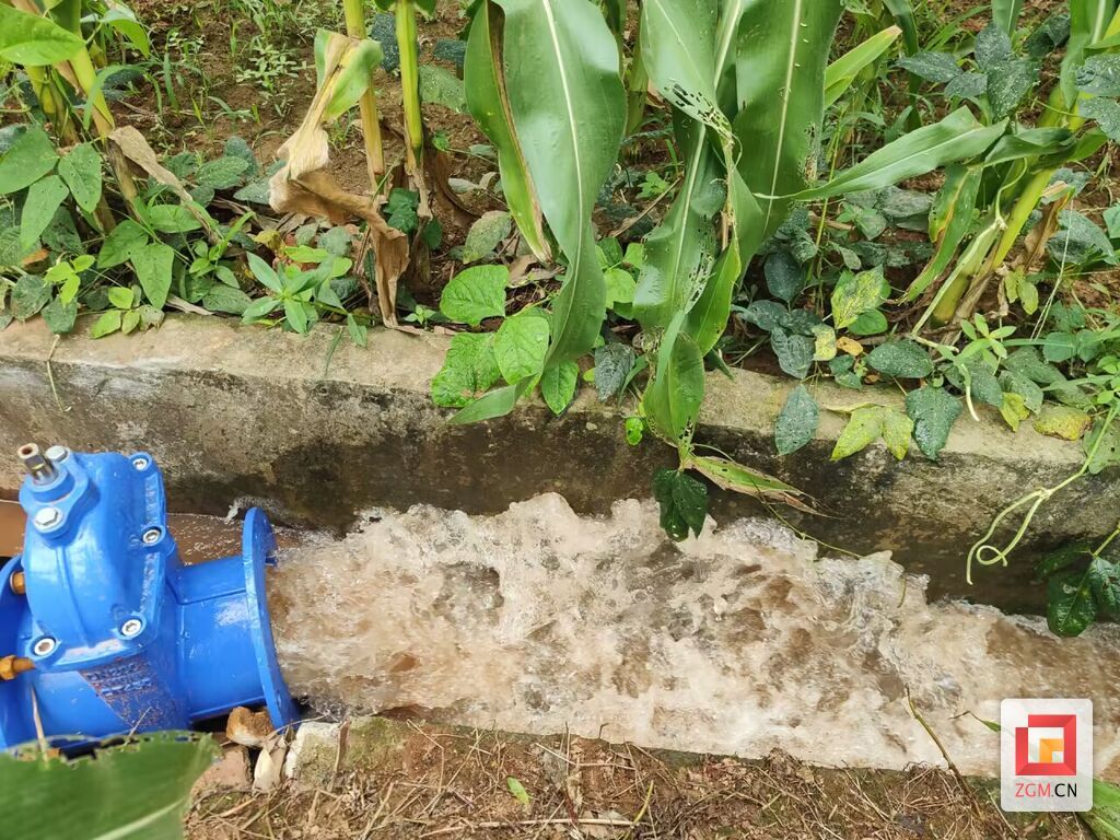 提灌站提水测试.jpg