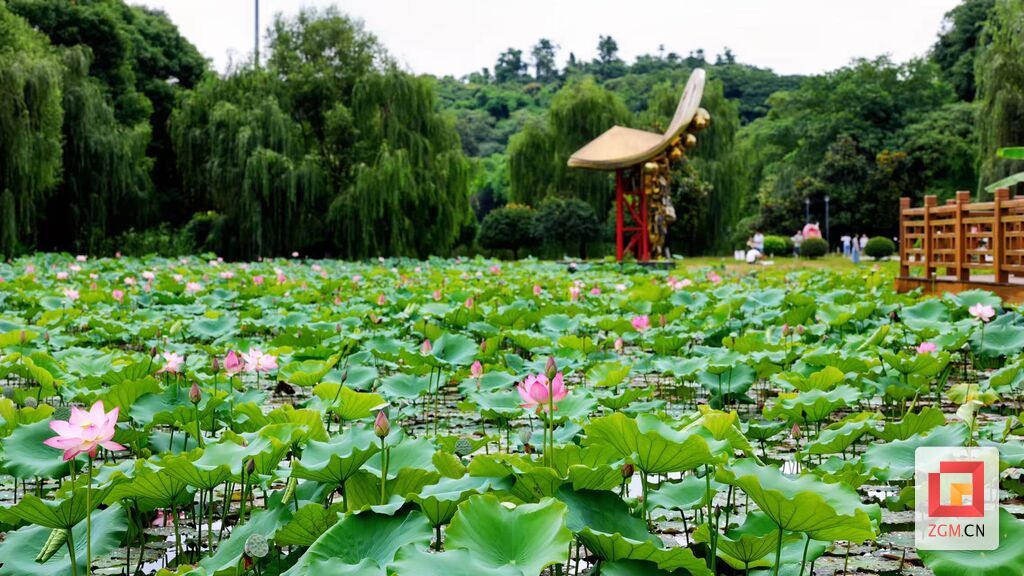 微信图片_2026-06-22_145738_078.jpg