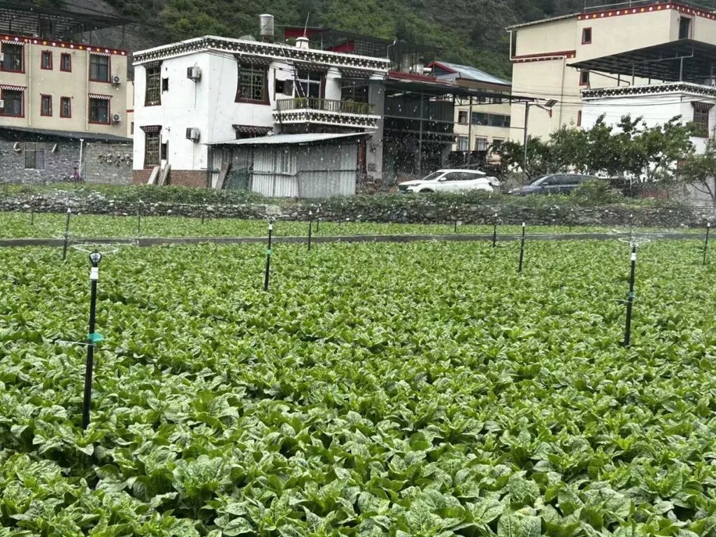 理县农水科局推进朴头村引水灌溉项目顺利通水试运行，有效保障片区农田用水，实现节水增效，夯实特色农业根基，助力现代农业发展和乡村振兴。.jpg