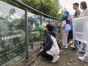 守护城市飞鸟 盐都少年实践研学护生态