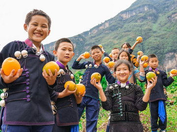 新春走基层丨记者帮张罗，阿布洛哈村首场直播“秀”了啥？