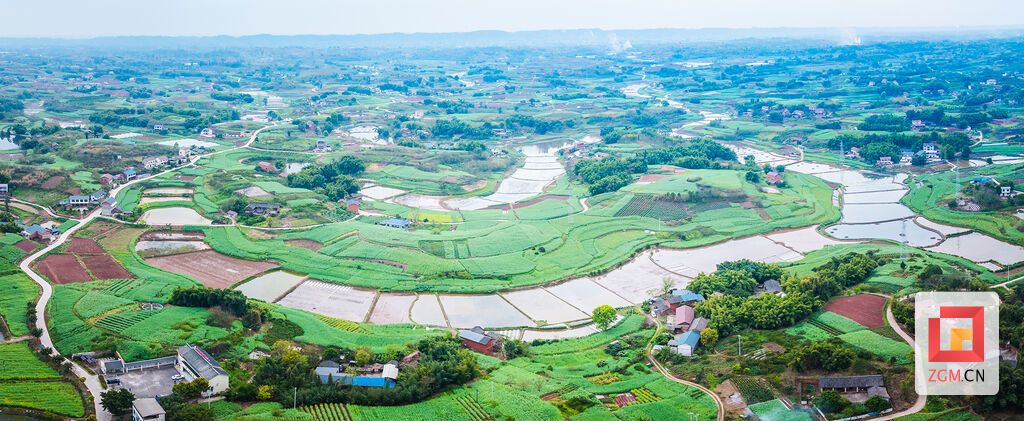 青禾连片 稻虾田旁绿意绵延 记者 宋姿熠 摄.jpg