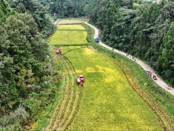 “夹皮沟”里，“弱村”抱团开公司丨田野来讯