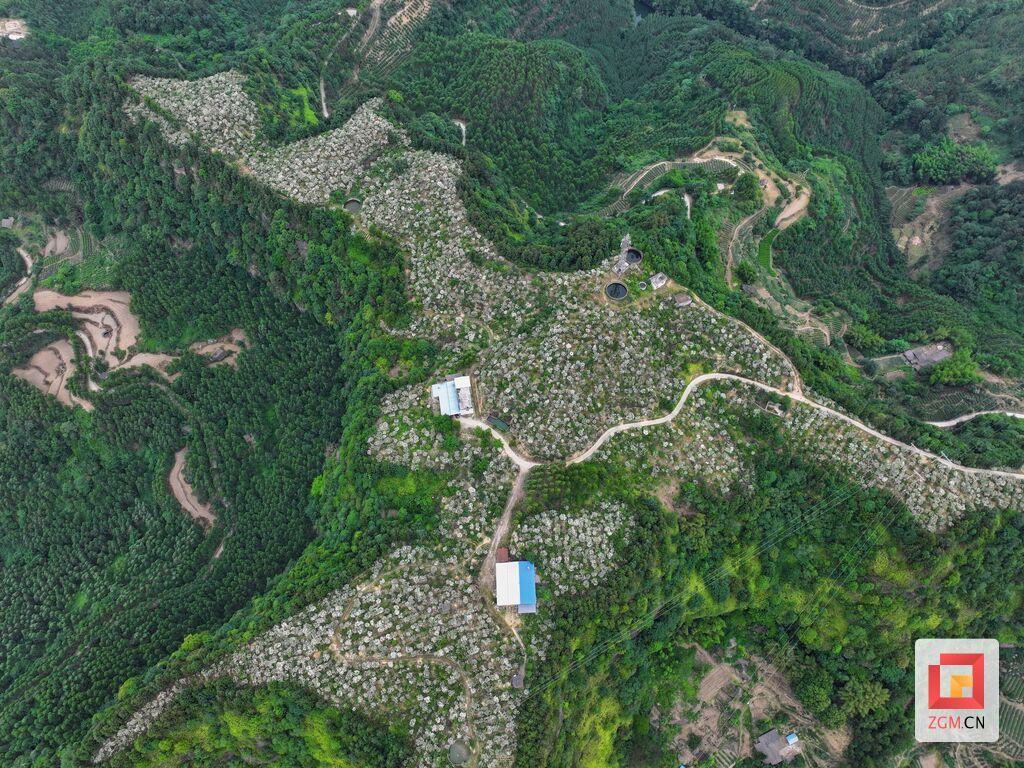 微信图片_20250524151614_副本.jpg