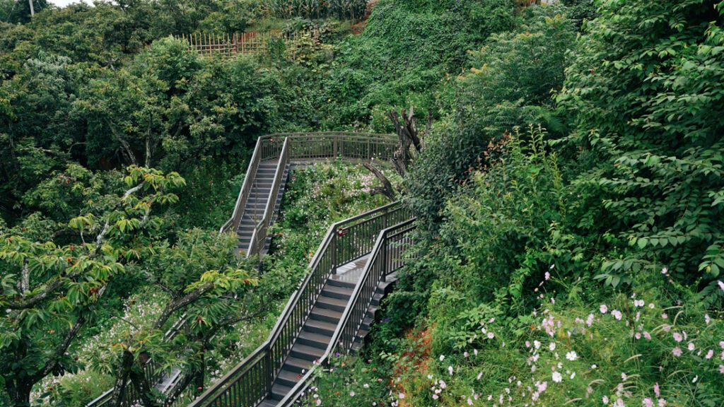 风景 (3).JPG