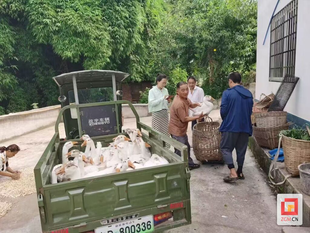 微信图片_20250630153913.jpg