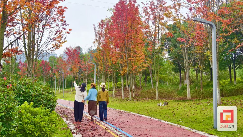 市民在初冬的阳光下漫步宜家河滨河公园 记者 罗祥瑞 摄.jpg