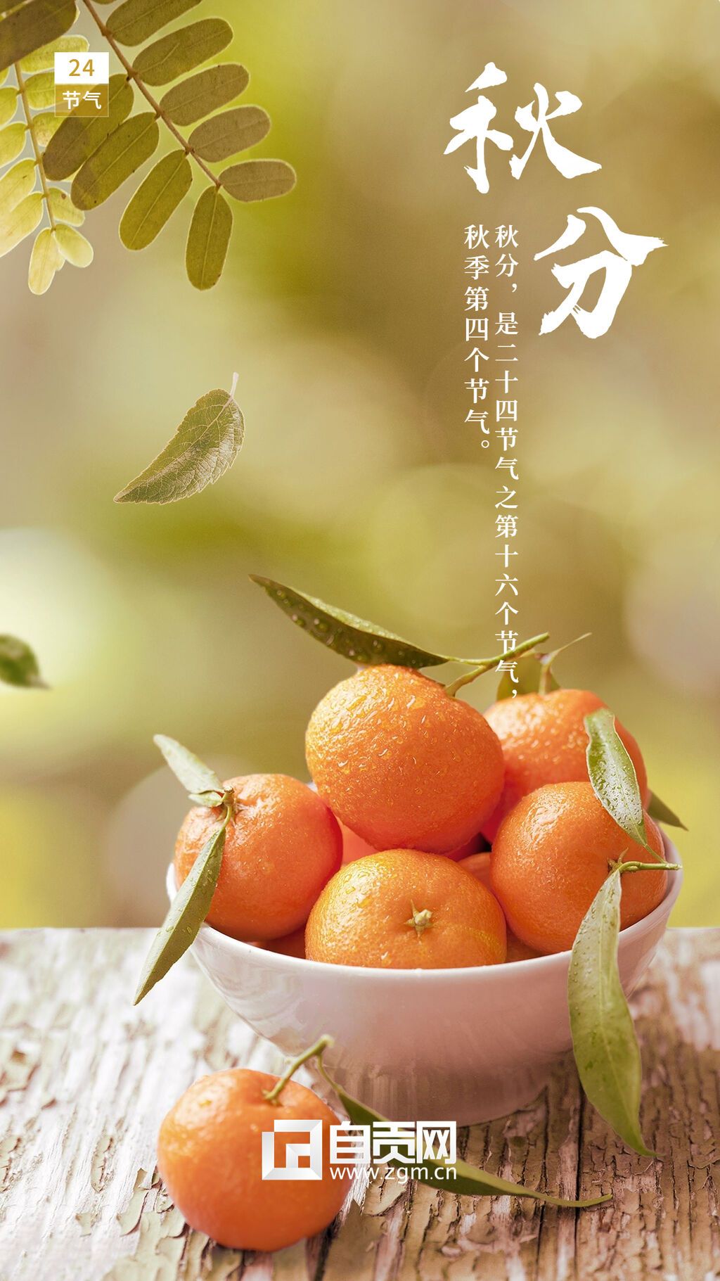 通用秋分節(jié)氣祝福實景手機海報(1).jpg