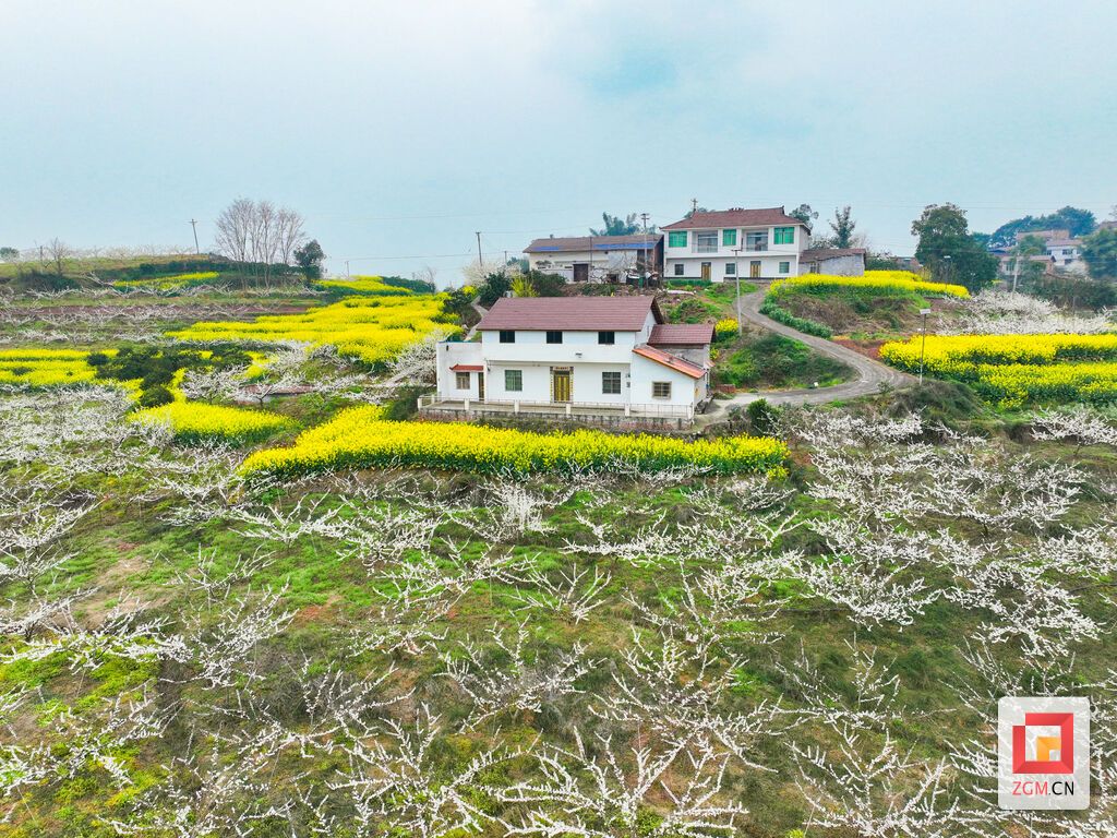 DJI_0146.JPG