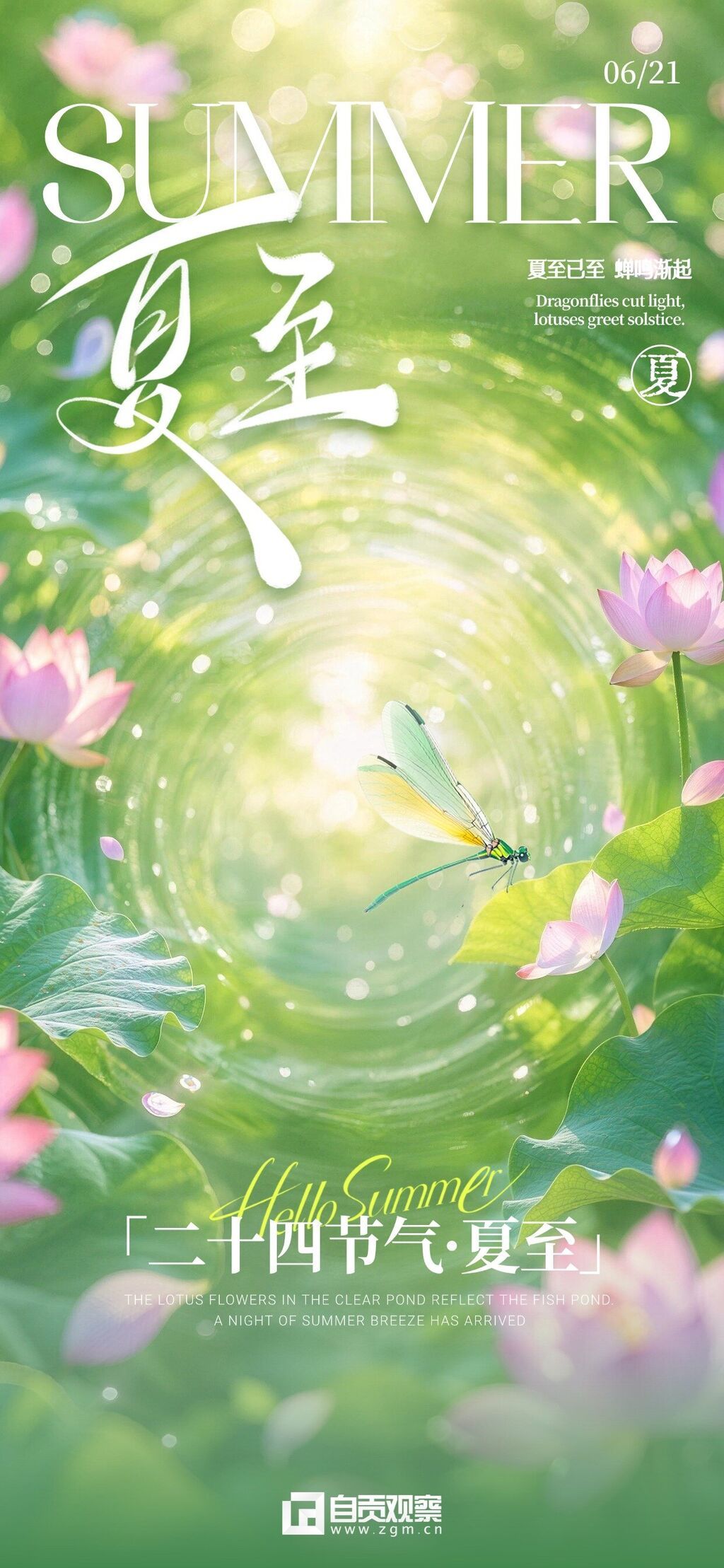 2唯美感插画夏至通用节气祝福全屏竖版海报 (1).jpg