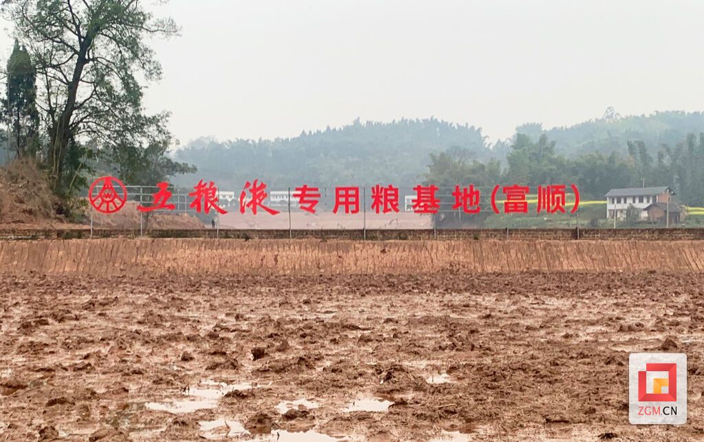 QQ图片20220302162334.jpg