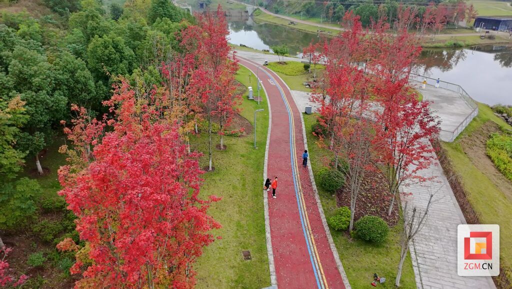 航拍初冬宜家河滨河公园 市民漫步其中记者 罗祥瑞 摄.jpg