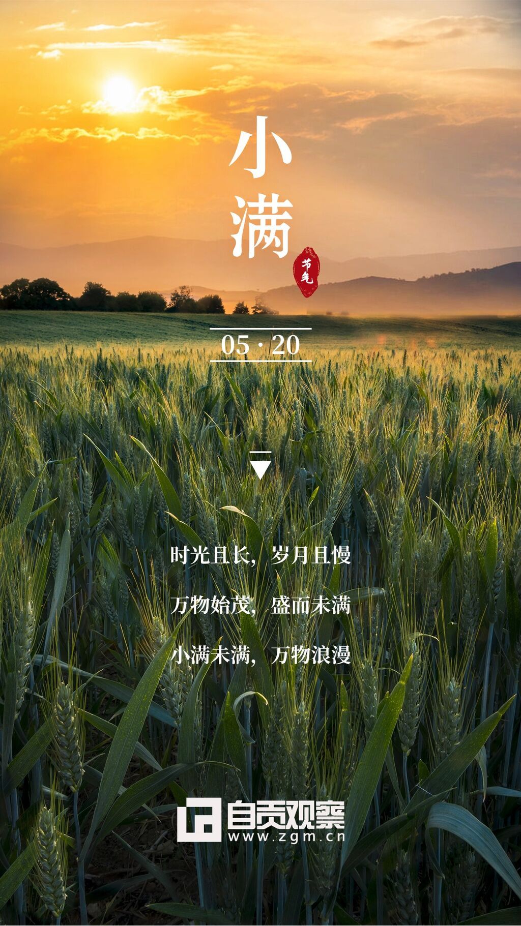 畫板 1.jpg