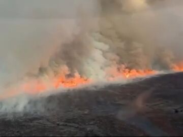 新西兰国家公园林火肆虐 过火面积超过千顷