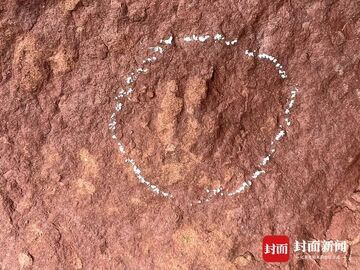 古蔺惊现“恐龙王国”：百年古道藏近200枚足迹，最小的仅指甲盖大