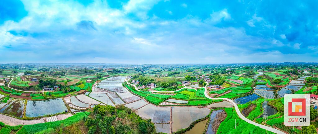 花谢后的油菜田绿意盎然，与稻虾水田相映成景，勾勒出生态循环、粮渔共赢的乡村田园画卷 记者 宋姿熠 摄.jpg