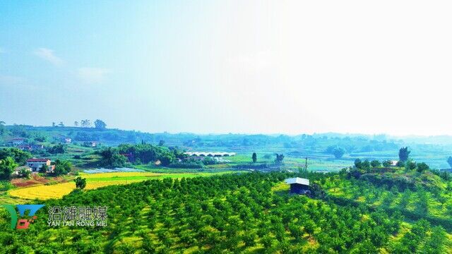 DJI_0132.JPG
