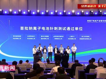 自贡新闻｜第五届钠离子电池产业链与标准发展论坛在自贡开幕