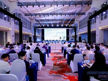 “天下第一灯”如何再破圈？自贡这场推介会给出新答案