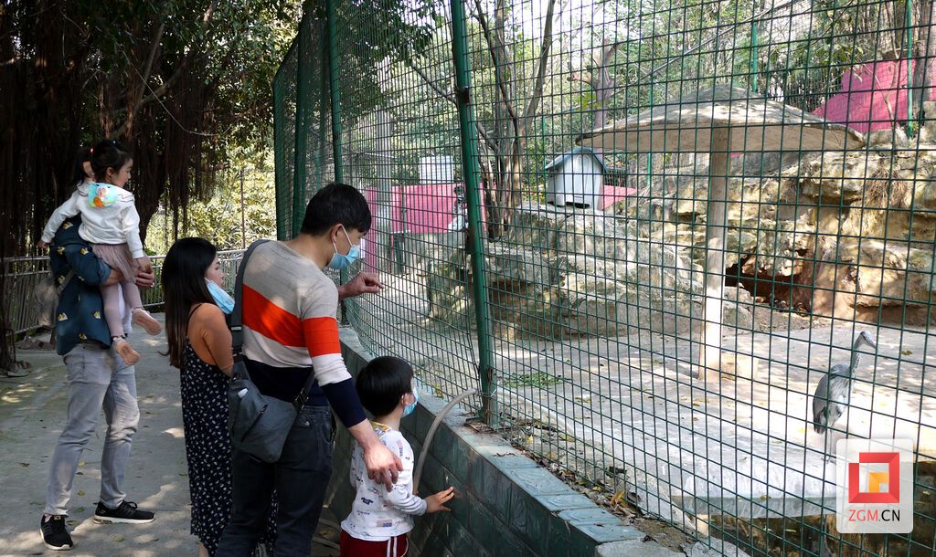 自貢動(dòng)物園1.jpeg