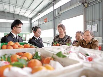 广安：27吨脐橙出国门，一场海关与企业的“双向奔赴”