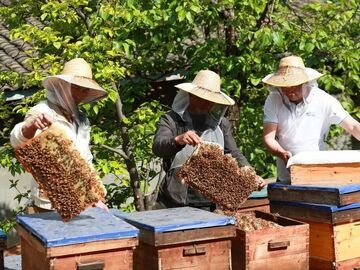 我的乡村超安逸丨生态酿蜜 产业兴村 凉山“甜蜜经济”铺就共富路