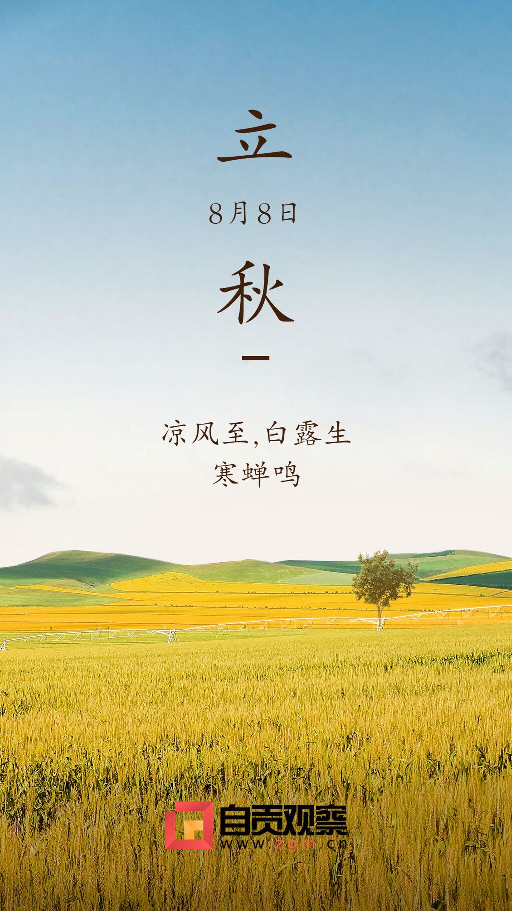 立秋節(jié)氣秋天你好秋季手機(jī)海報(bào).jpg