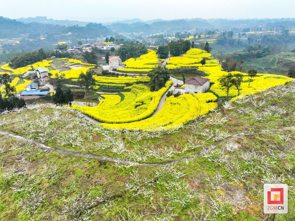 DJI_0152.JPG