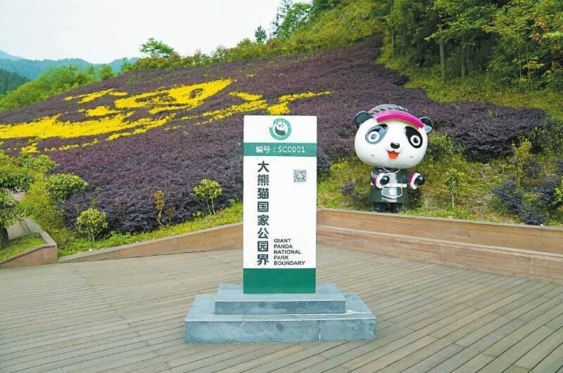 1665790925598075640.jpg-cgwapimg (1).jpg