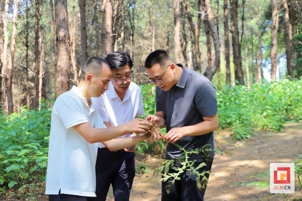 微信图片_20260714182105_171_48.jpg