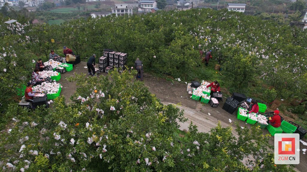 DJI_0790.JPG
