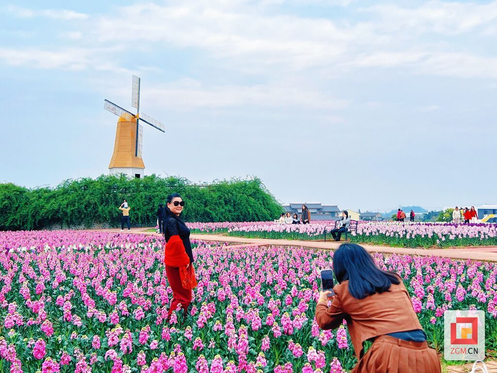 游客在花田与风车前打卡拍照，乐享春光 记者 宋姿熠 摄.jpg