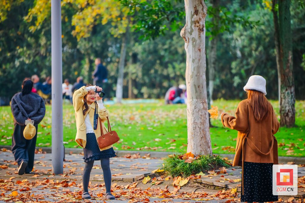 市民们记录下这抹独属于冬日的灿烂 记者 宋姿熠 摄.jpg