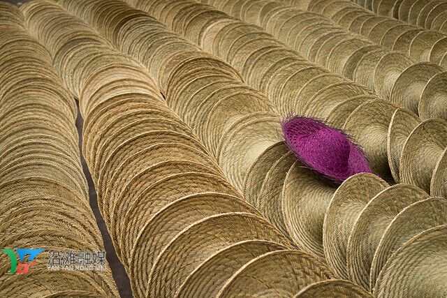 黄市草帽1(冲突时的文件备份2016-05-18 08-49-45).jpg