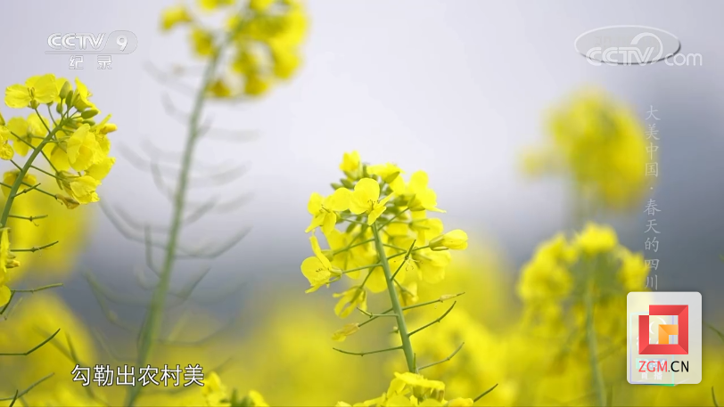 1647962575(1).png