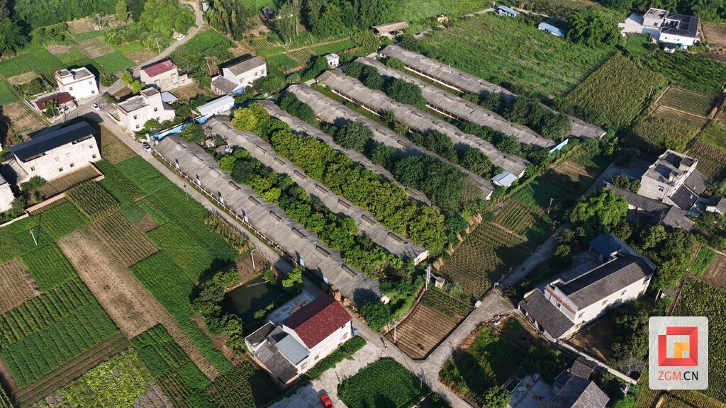 DJI_20250813081054_0004_D.MP4_20260522_155449.179.jpg