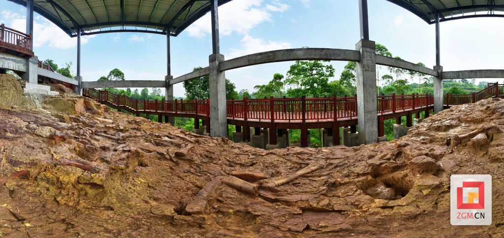 青龍山化石埋藏現(xiàn)場(chǎng).jpg