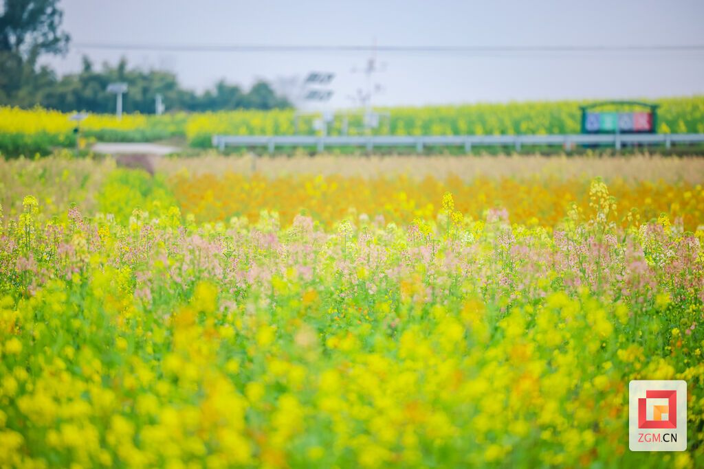 A21A9630.jpg