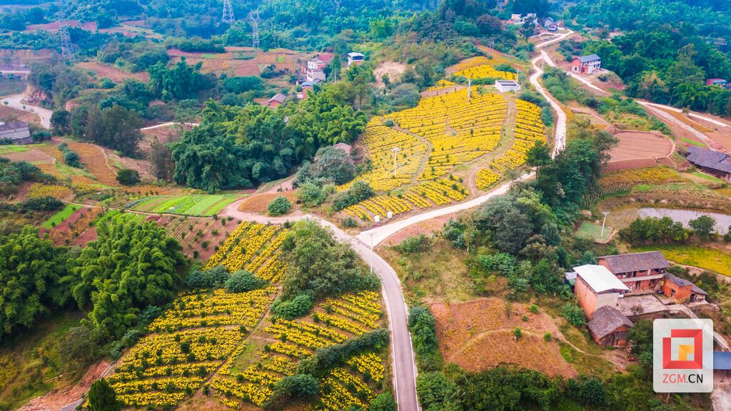 DJI_0861.jpg