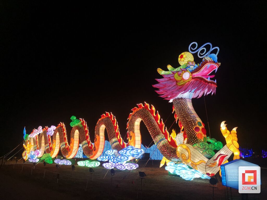 2023美國(guó)納什維爾燈組圖片(中國(guó)龍).jpg
