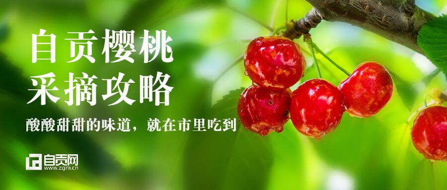 夏至節(jié)氣祝福清新實景公眾號首圖.jpg
