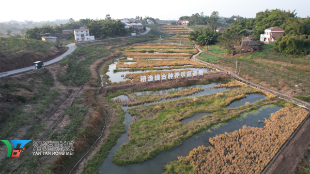 永安鎮(zhèn)稻魚綜合種養(yǎng)示范基地.png