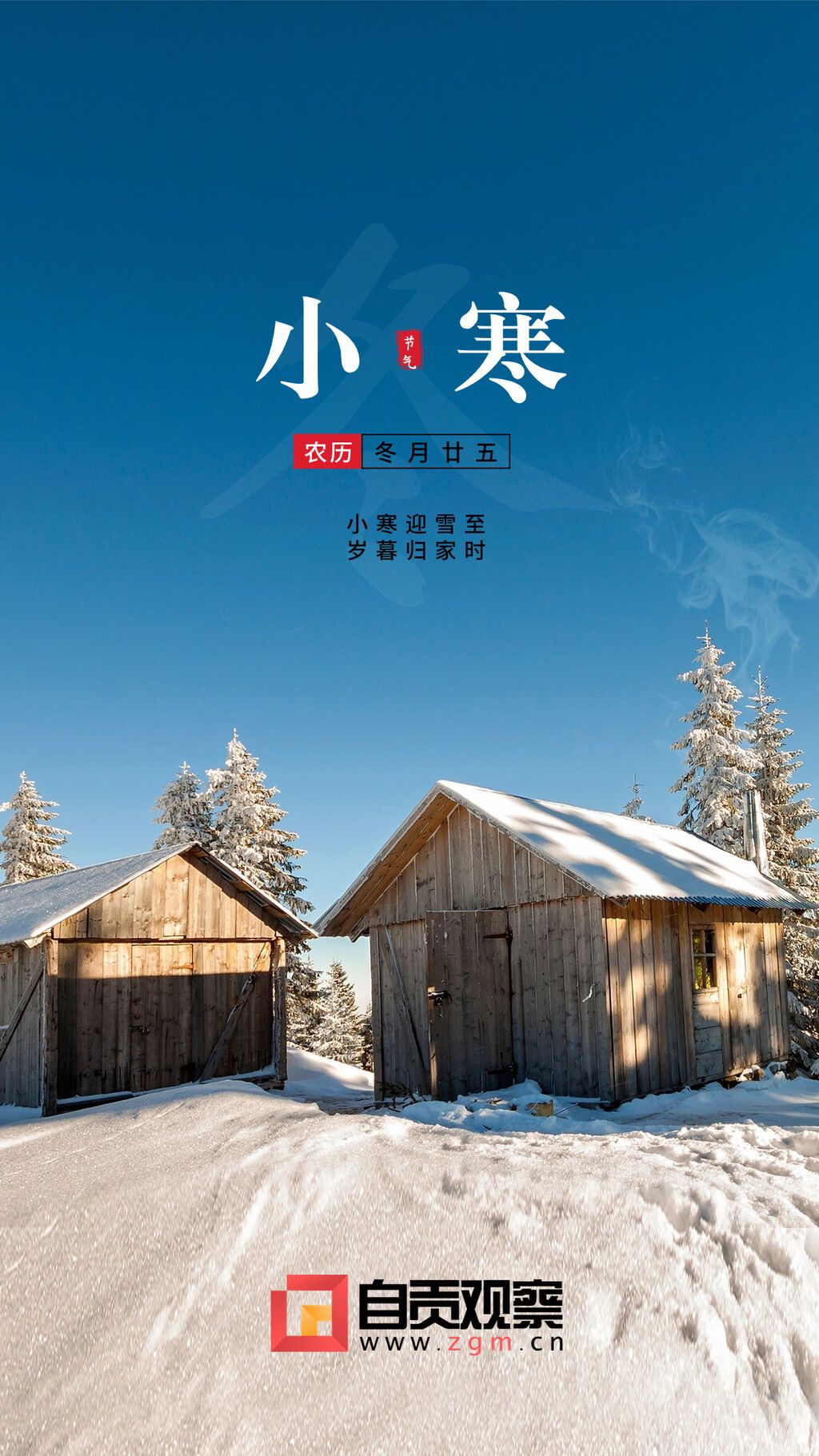小寒節(jié)氣祝福冬日飄雪實(shí)景手機(jī)海報(bào) (1).jpg