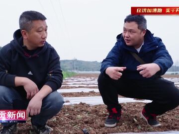 自贡新闻｜科技赋能忙春耕 春日田间绘丰景