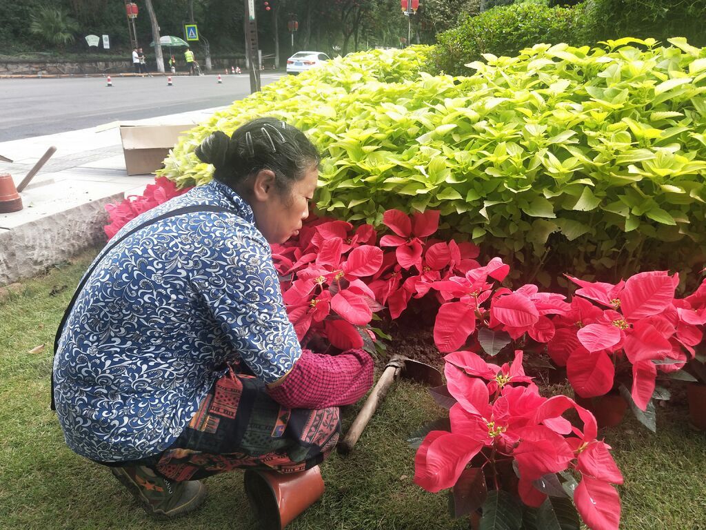 微信圖片_20230922131938.jpg