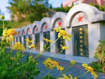 转发扩散！四川三座烈士陵园为30位英烈寻亲